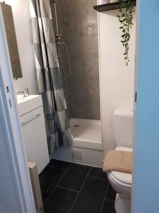 Studio Cocon Appartement